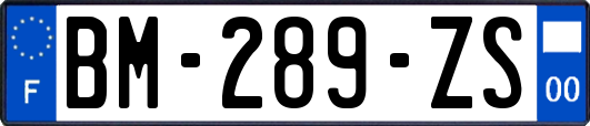 BM-289-ZS