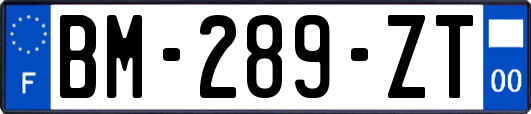 BM-289-ZT