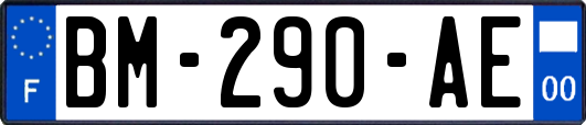 BM-290-AE