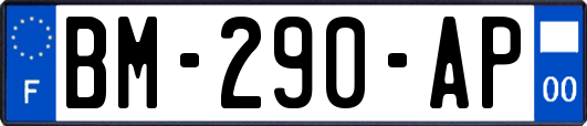 BM-290-AP