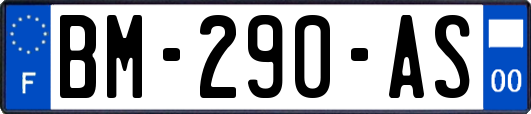 BM-290-AS