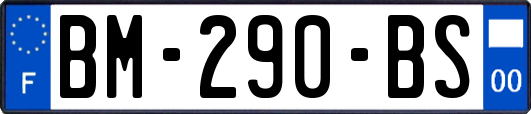 BM-290-BS