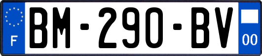 BM-290-BV