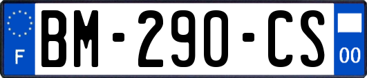 BM-290-CS