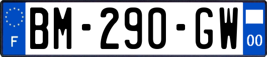 BM-290-GW