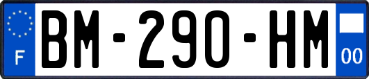 BM-290-HM