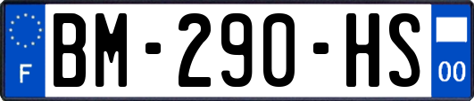 BM-290-HS