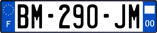 BM-290-JM