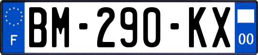 BM-290-KX
