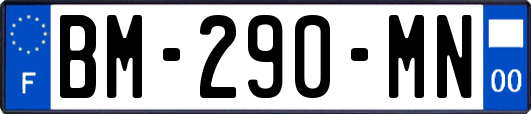 BM-290-MN