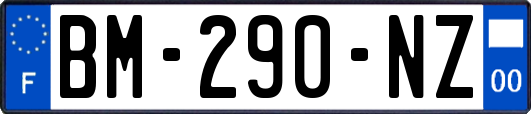 BM-290-NZ