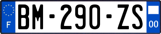 BM-290-ZS