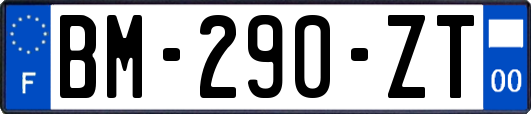 BM-290-ZT