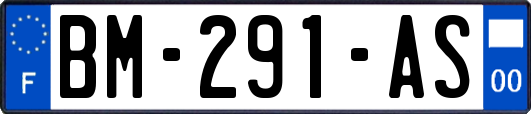 BM-291-AS