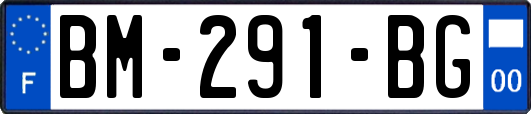 BM-291-BG