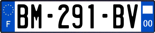 BM-291-BV