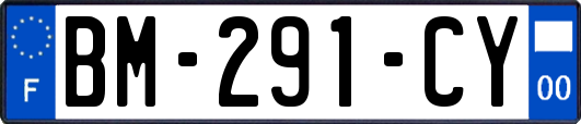 BM-291-CY