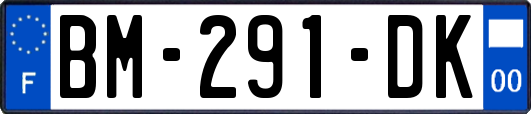 BM-291-DK