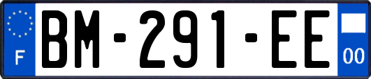 BM-291-EE