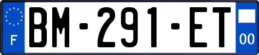 BM-291-ET