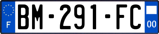 BM-291-FC