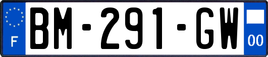 BM-291-GW