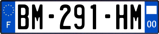 BM-291-HM