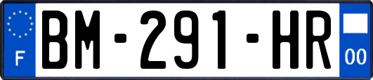 BM-291-HR
