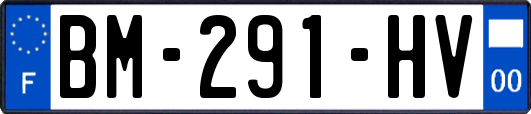 BM-291-HV