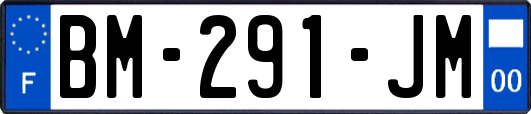 BM-291-JM