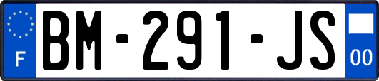 BM-291-JS