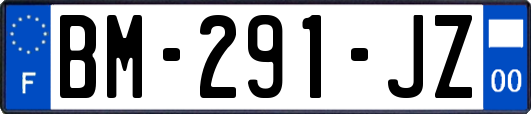 BM-291-JZ