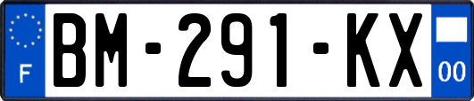 BM-291-KX