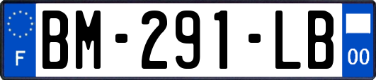 BM-291-LB