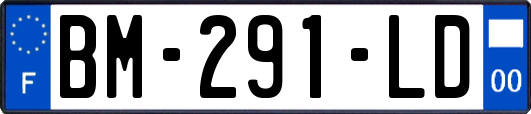 BM-291-LD