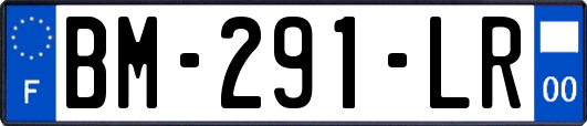 BM-291-LR