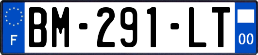 BM-291-LT