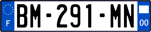 BM-291-MN