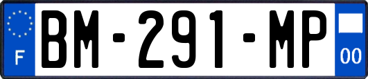 BM-291-MP