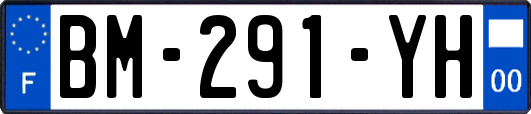 BM-291-YH