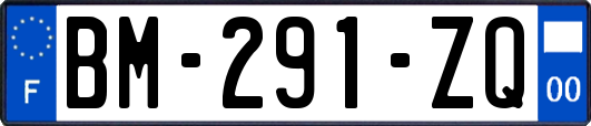 BM-291-ZQ