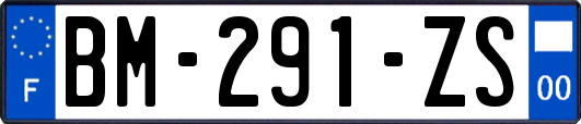 BM-291-ZS