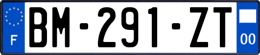 BM-291-ZT