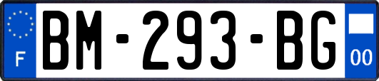 BM-293-BG