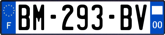 BM-293-BV