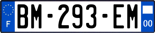 BM-293-EM