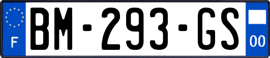 BM-293-GS