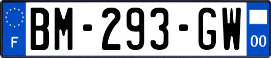 BM-293-GW