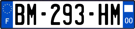 BM-293-HM