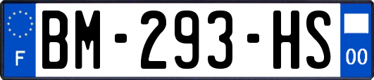 BM-293-HS